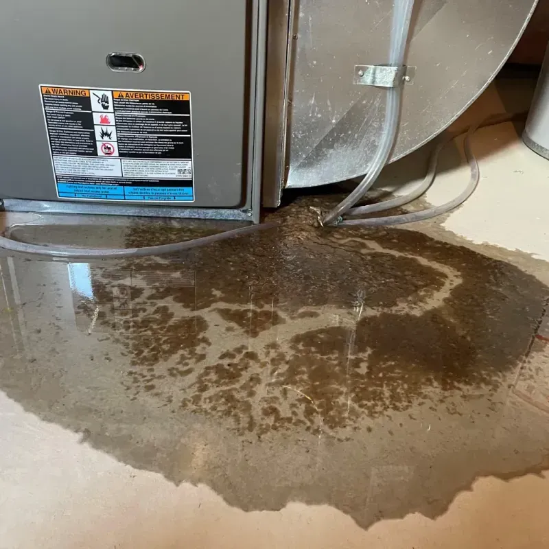 Appliance Leak Cleanup in Greene County, AR